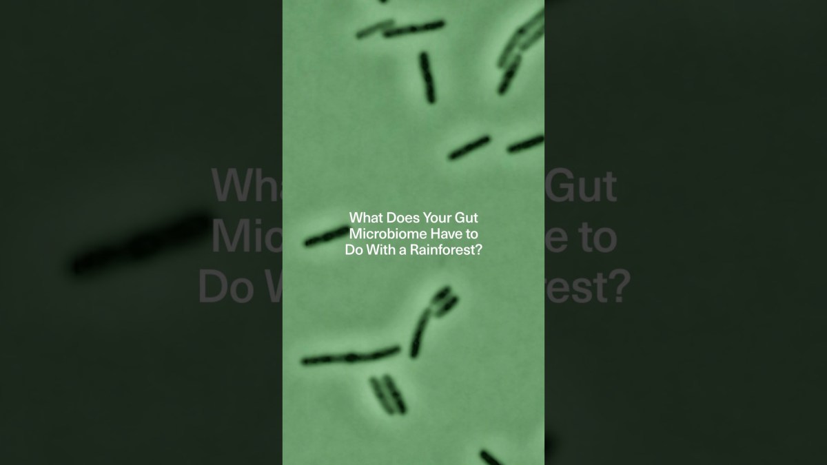 Microbial Diversity